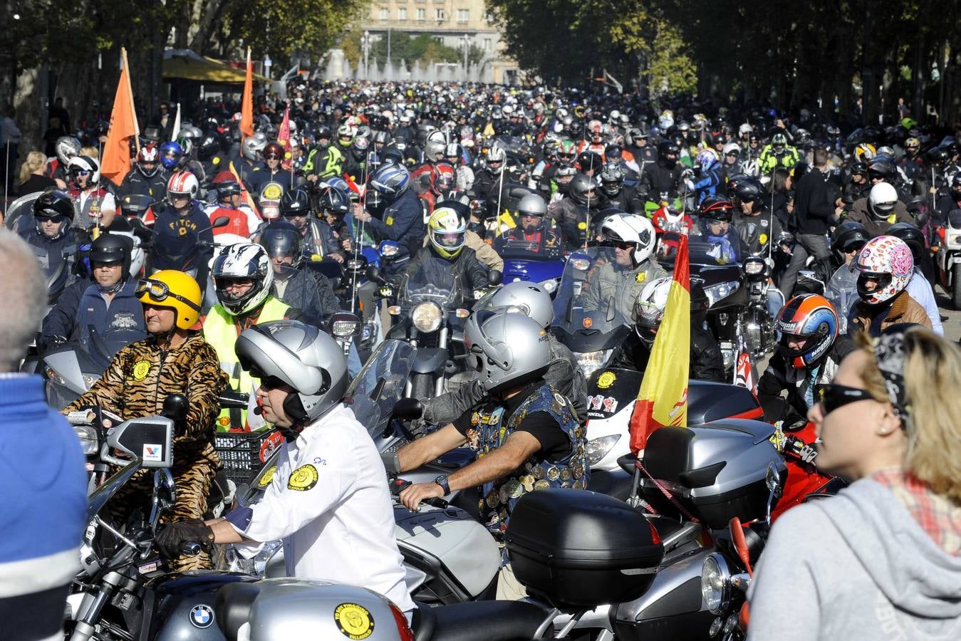 Protesta en apoyo a Pingüinos en Valladolid