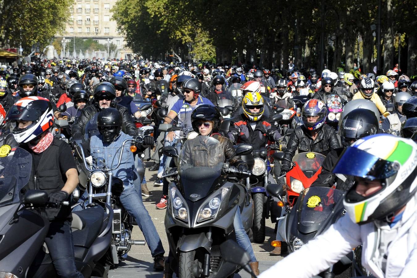 Protesta en apoyo a Pingüinos en Valladolid