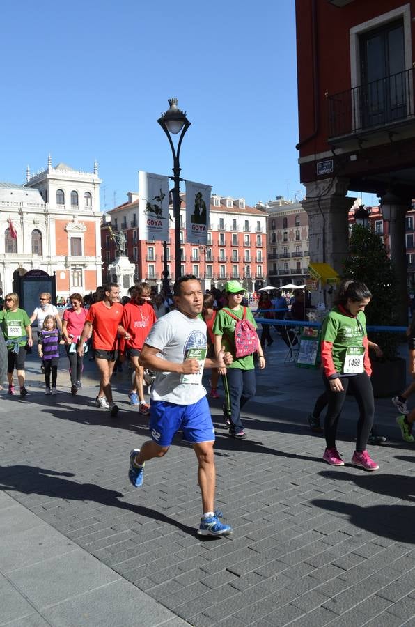 Marcha contra el cáncer en Valladolid (1/4)