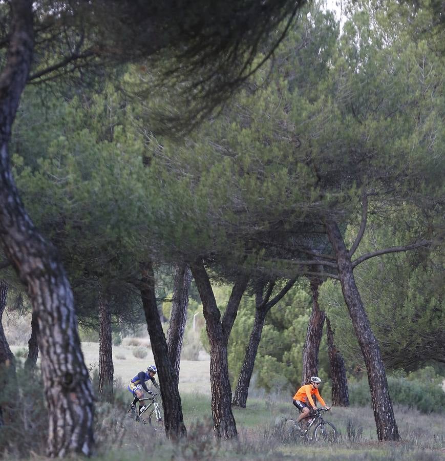 Duatlón Ciudad de Valladolid