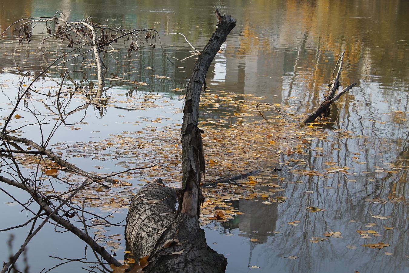 Otoño en Valladolid