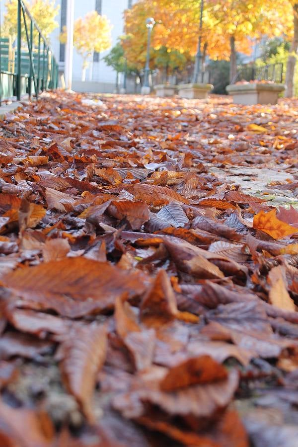 Otoño en Valladolid