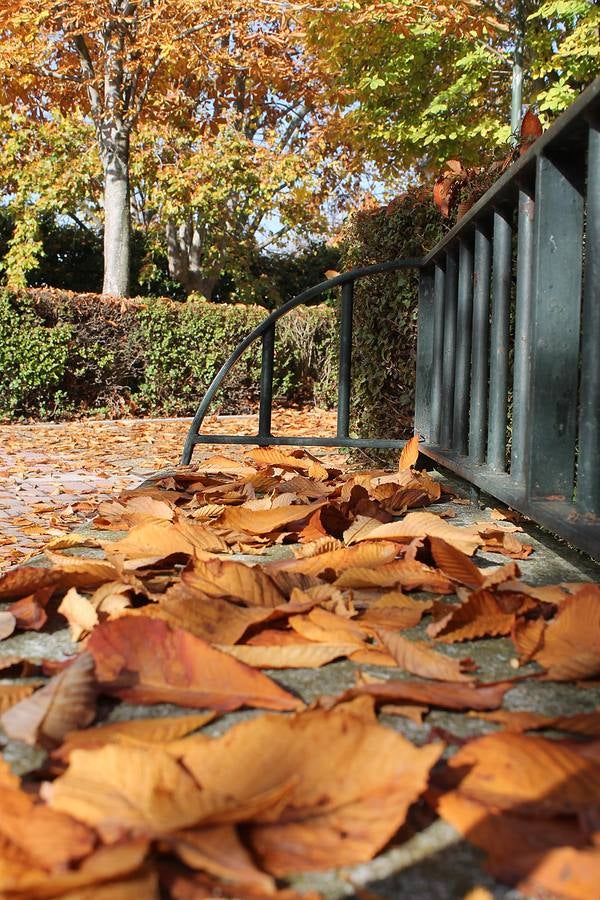 Otoño en Valladolid