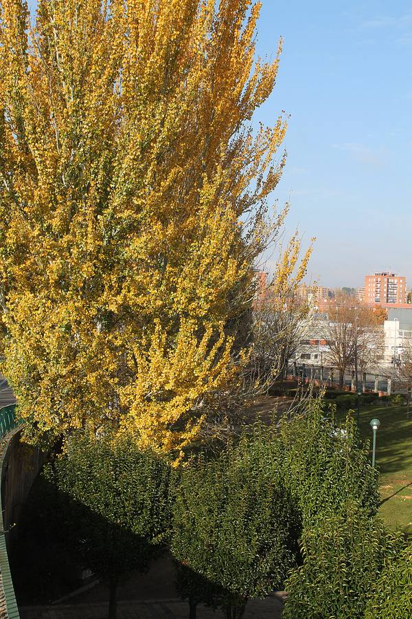 Otoño en Valladolid