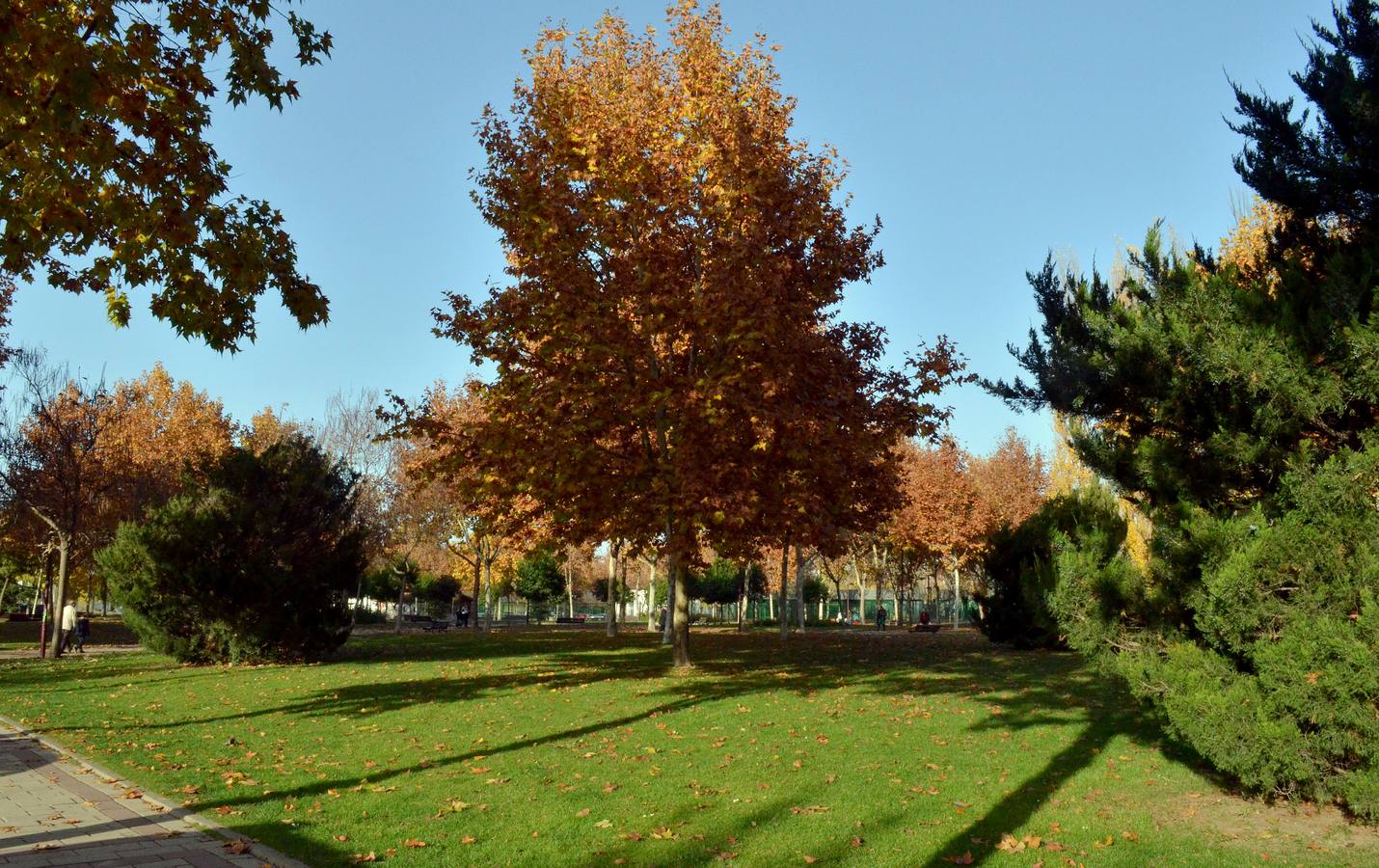 Otoño en Valladolid