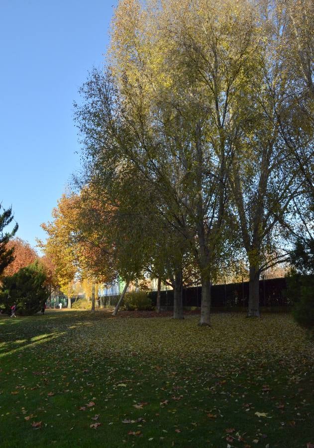 Otoño en Valladolid