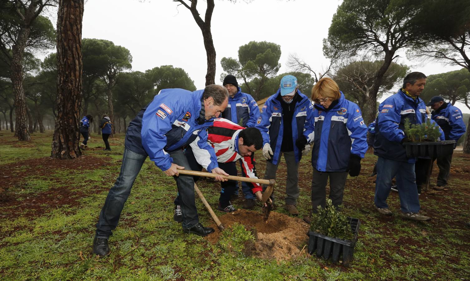 Socios de Turismoto plantan 140 árboles en la antigua sede de Pingüinos
