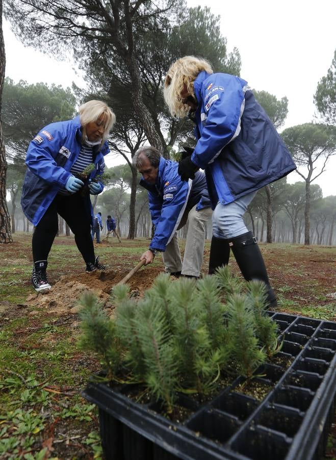 Socios de Turismoto plantan 140 árboles en la antigua sede de Pingüinos