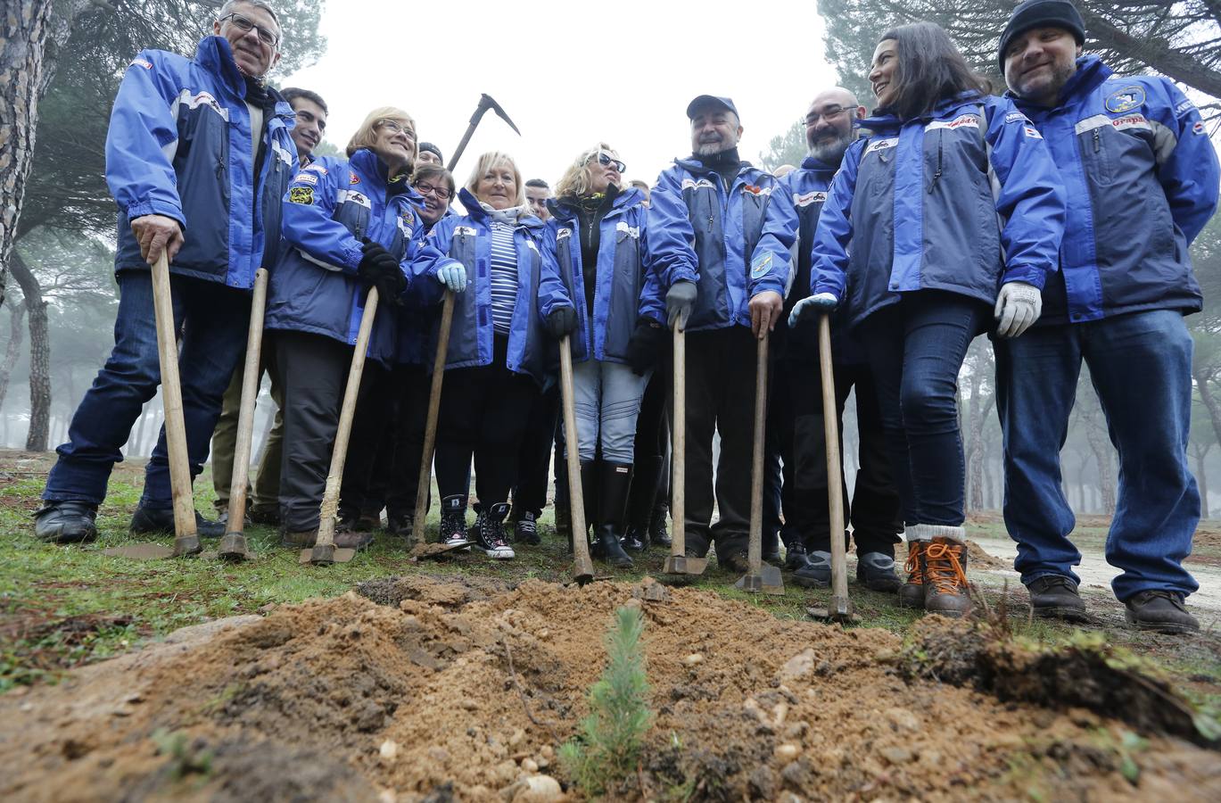 Socios de Turismoto plantan 140 árboles en la antigua sede de Pingüinos
