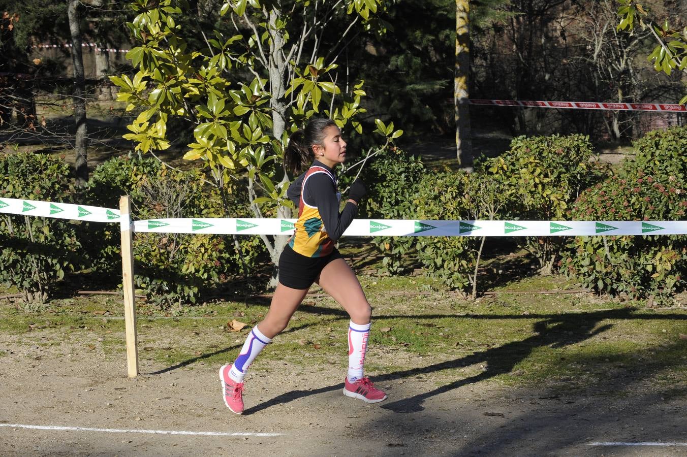 XXXI Cross de las Doce Uvas (7/8)