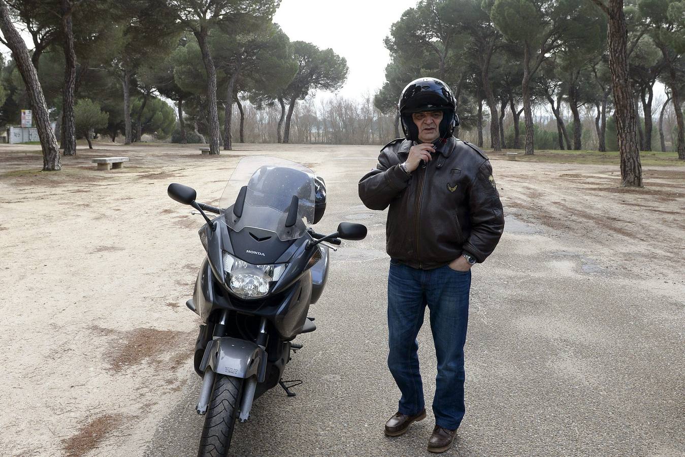 Vigilancia en el Pinar de Antequera ante la llegada de &#039;pingüinos&#039;