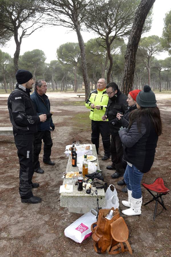 Vigilancia en el Pinar de Antequera ante la llegada de &#039;pingüinos&#039;