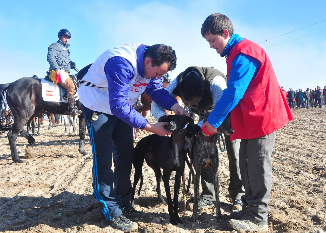 Primera jornada del Campeonato Nacional de Galgos
