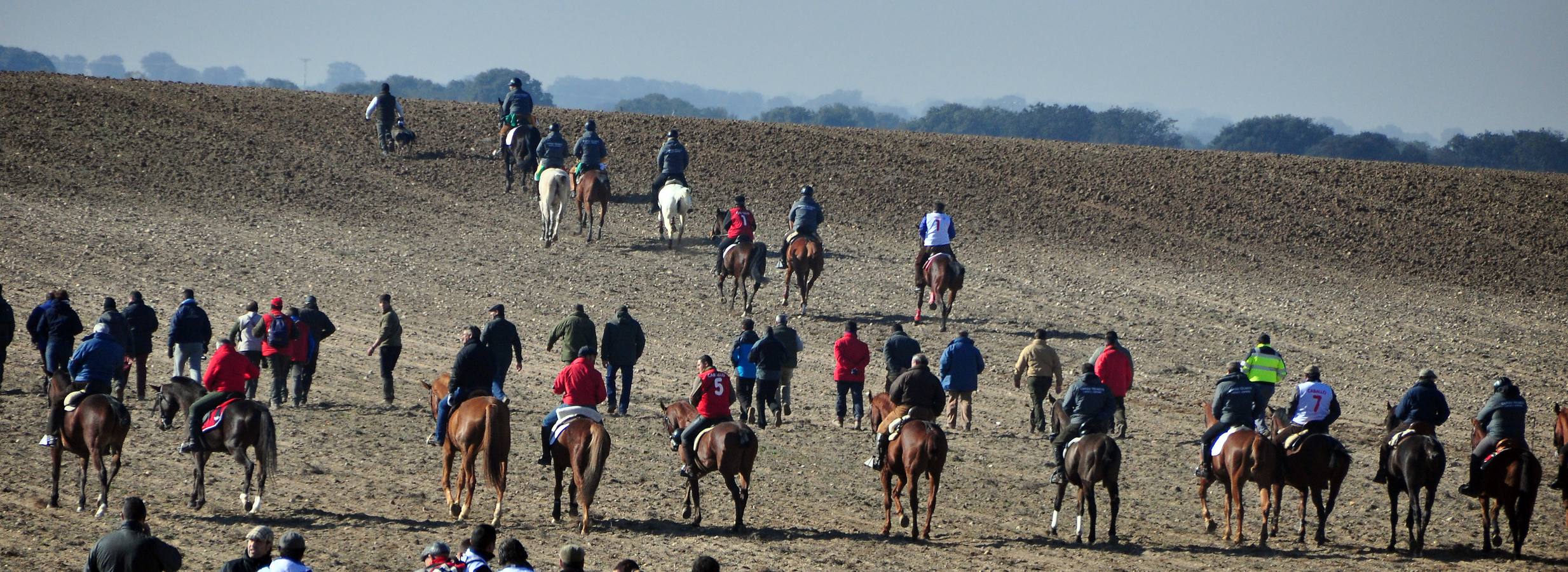Primera jornada del Campeonato Nacional de Galgos