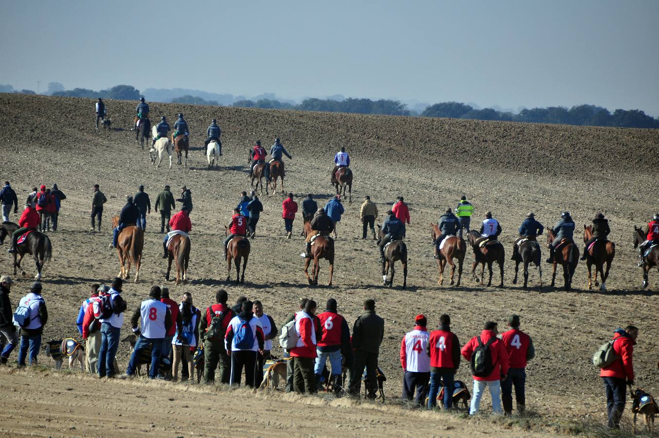 Primera jornada del Campeonato Nacional de Galgos