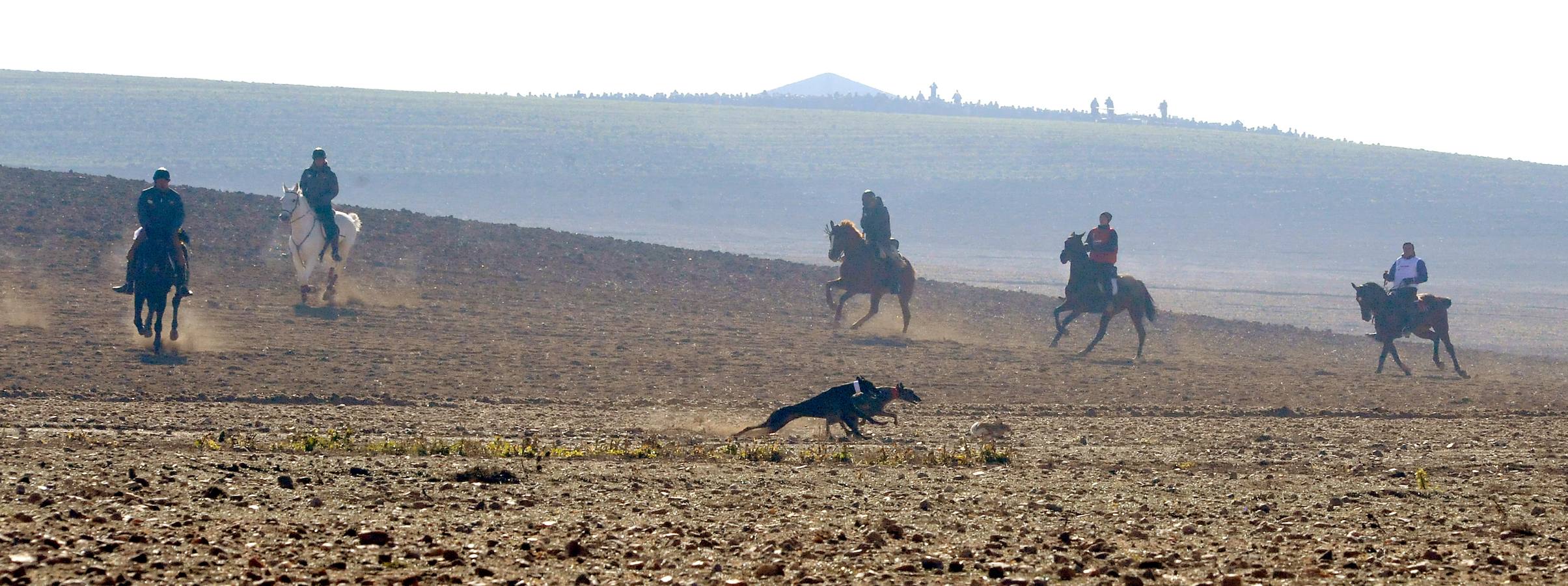 Primera jornada del Campeonato Nacional de Galgos