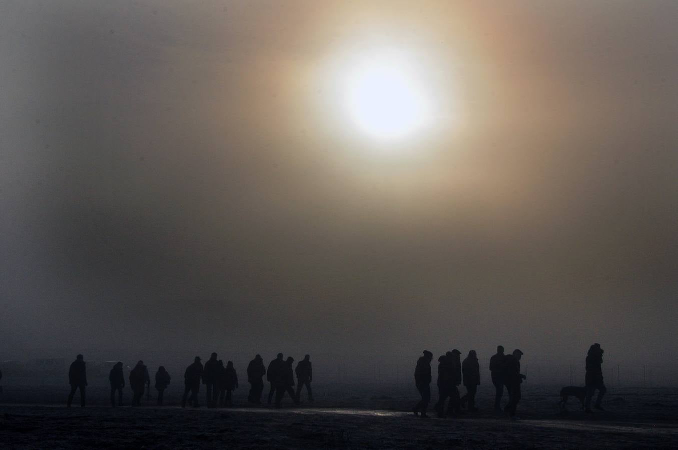 Primera jornada del Campeonato Nacional de Galgos