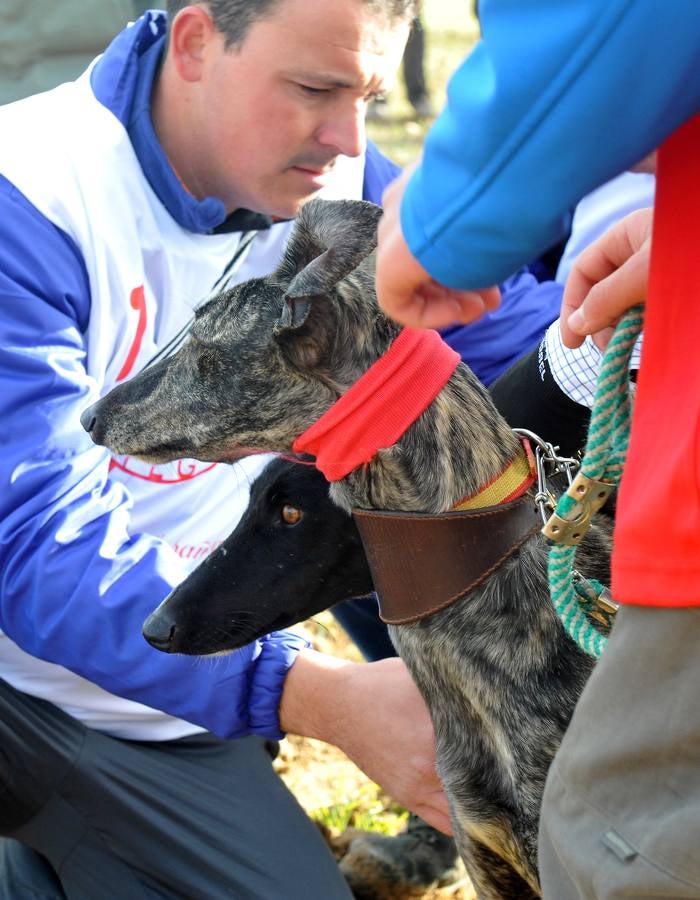 Segunda jornada del Campeonato Nacional de Galgos