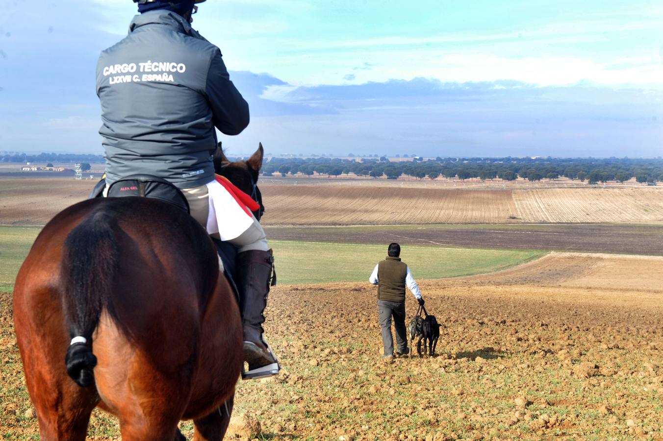 Segunda jornada del Campeonato Nacional de Galgos