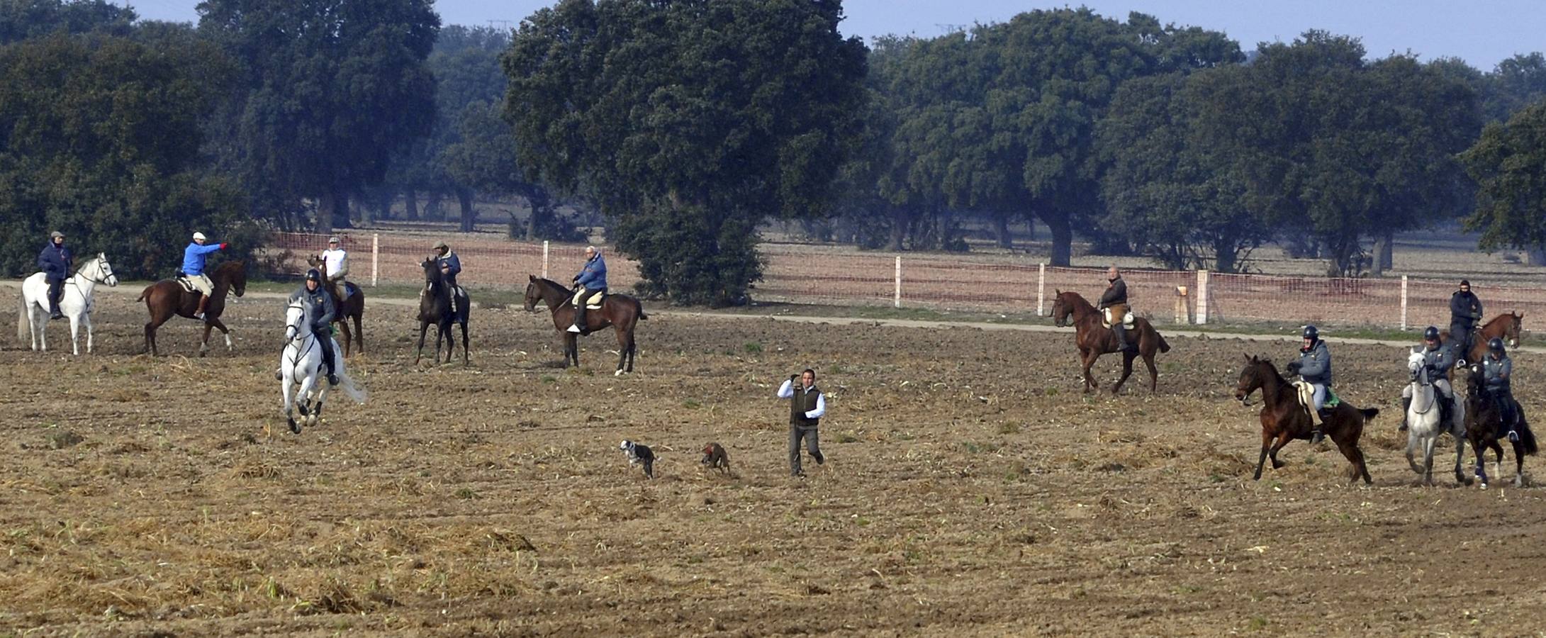 Segunda jornada del Campeonato Nacional de Galgos