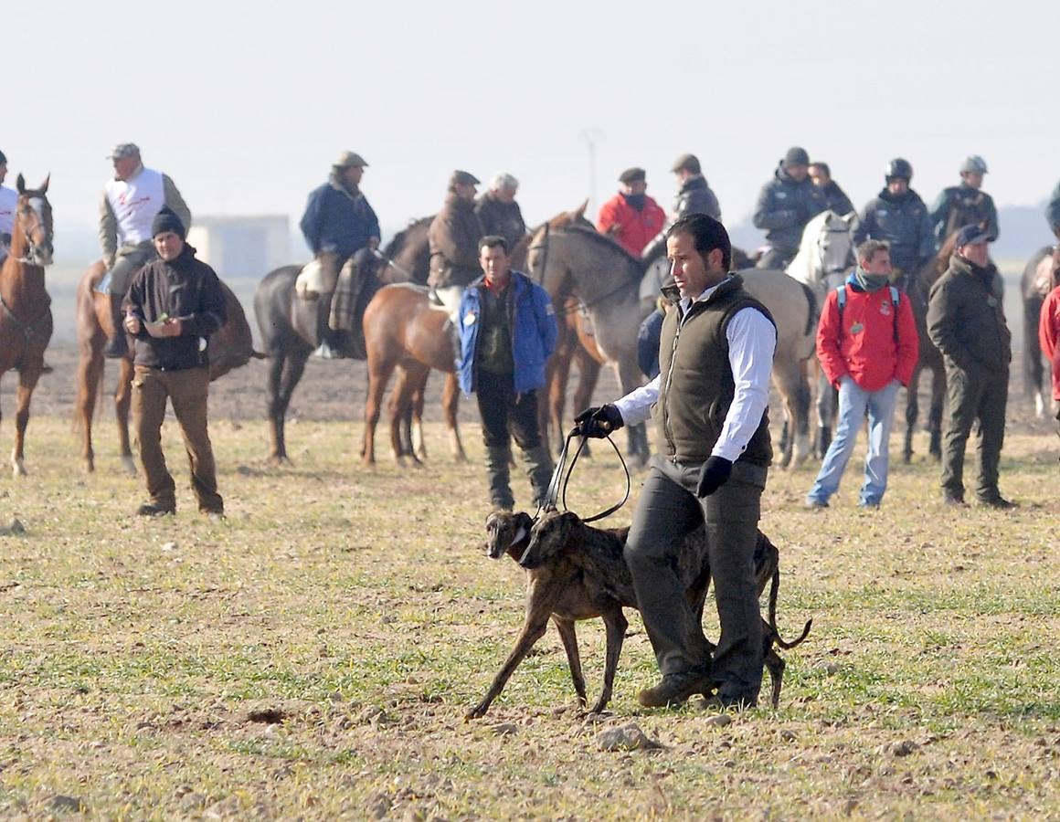 Segunda jornada del Campeonato Nacional de Galgos