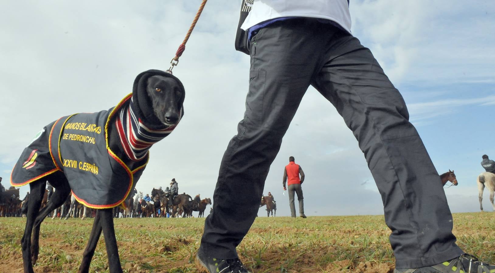 Segunda jornada del Campeonato Nacional de Galgos