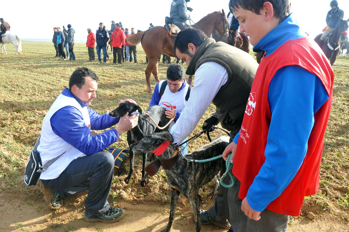 Segunda jornada del Campeonato Nacional de Galgos