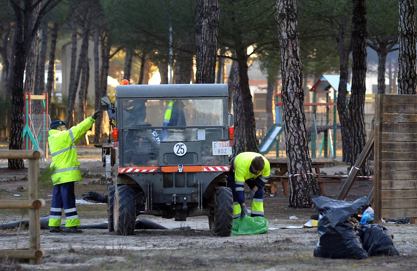 Trabajos de limpieza del pinar de Tordesillas tras el paso de Motauros