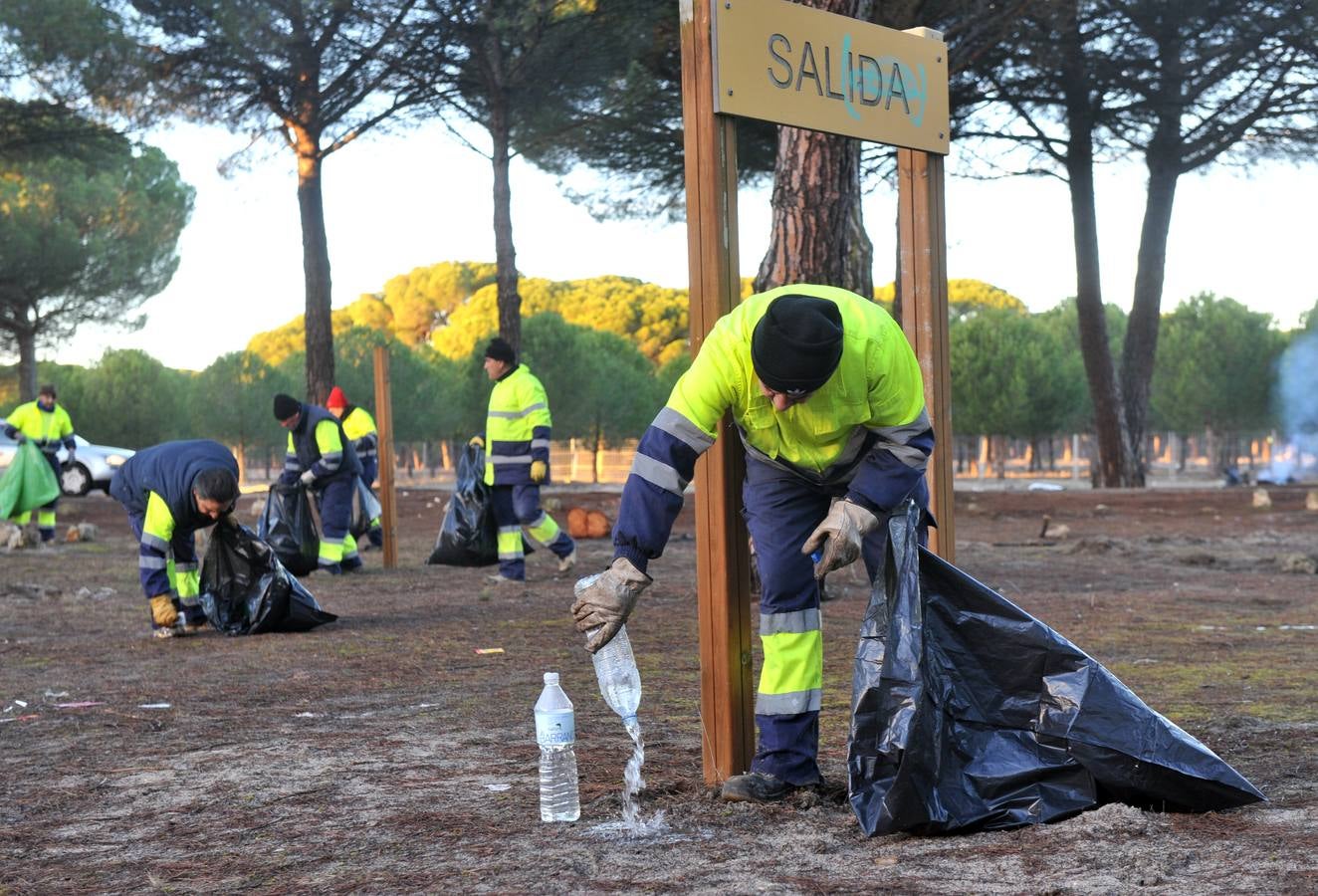 Trabajos de limpieza del pinar de Tordesillas tras el paso de Motauros