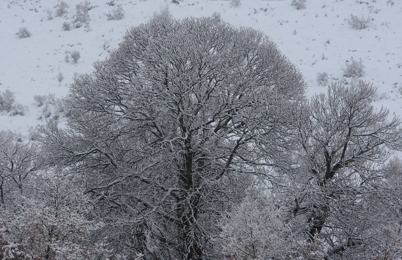 La localidad de Páramo del Sil (León), afectada por la nieve.