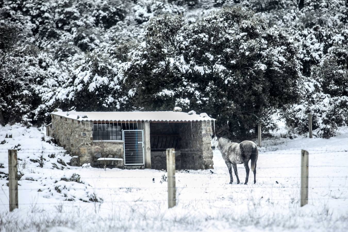 Nevada en la capital segoviana.