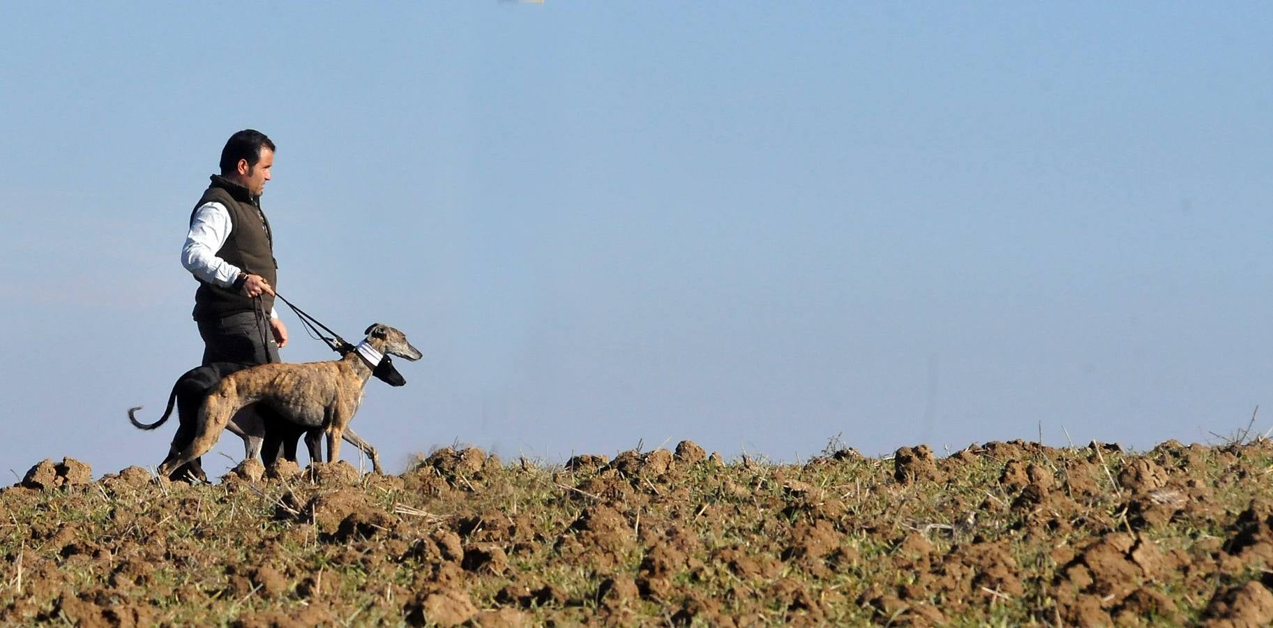 Final del Campeonato Nacional de Galgos en Campo 2015