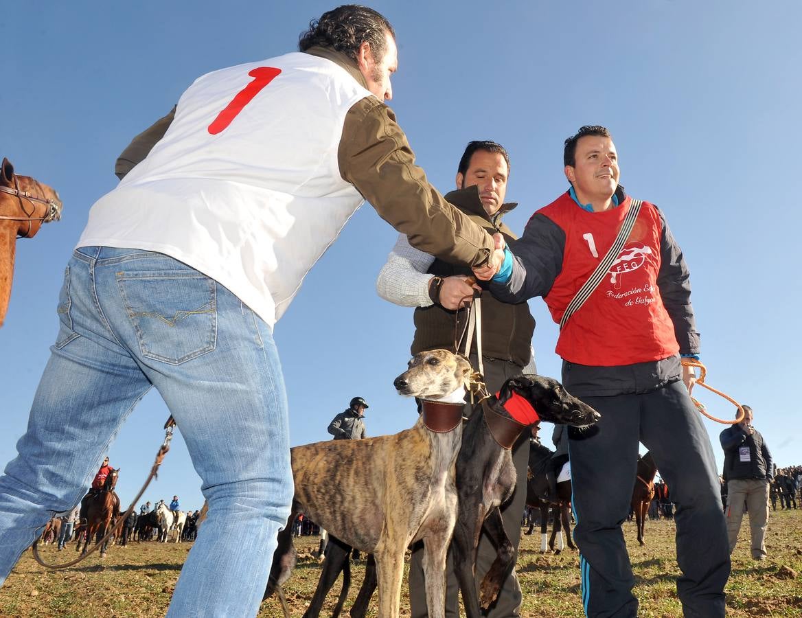 Final del Campeonato Nacional de Galgos en Campo 2015