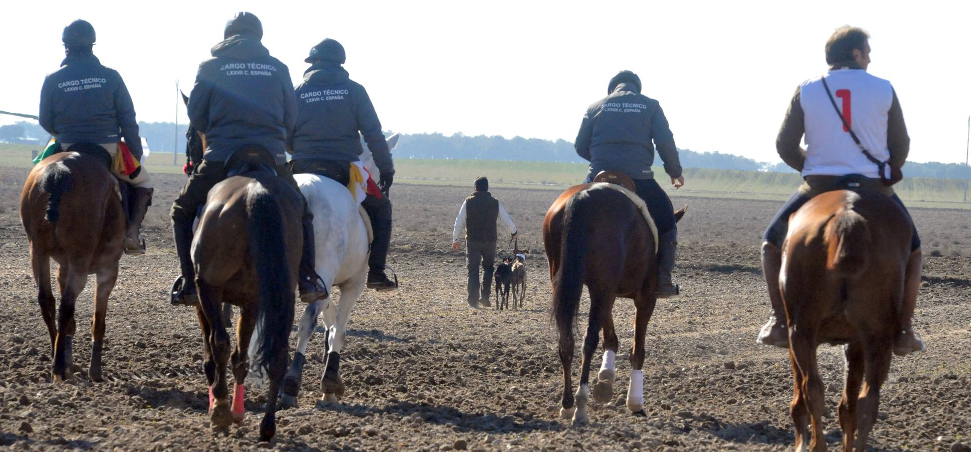 Final del Campeonato Nacional de Galgos en Campo 2015