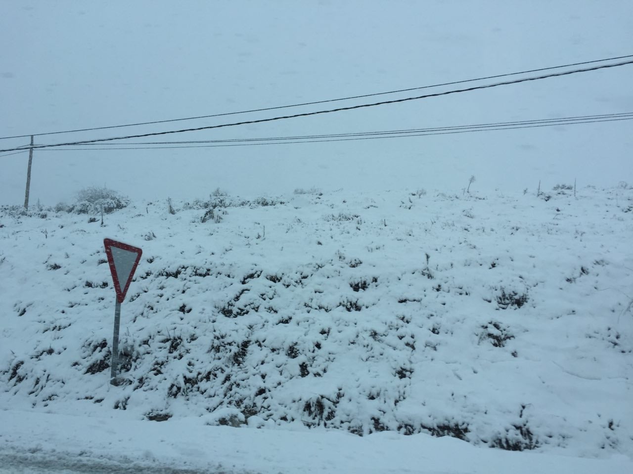 La nieve cubre la provincia de León