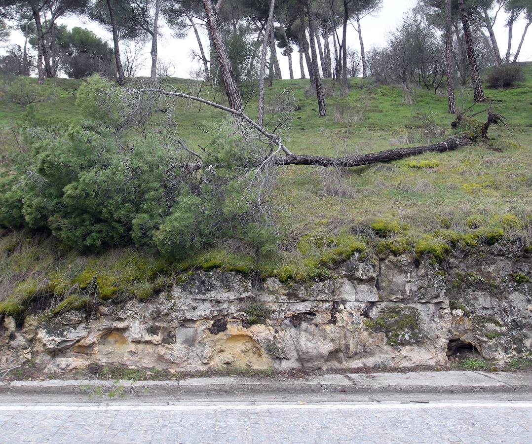 Temporal de lluvia y viento en Segovia