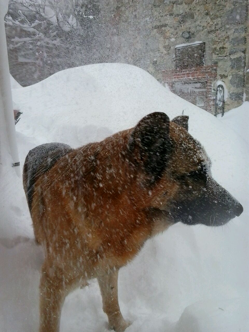 Impresionante nevada en la localidad leonesa de Cofiñal