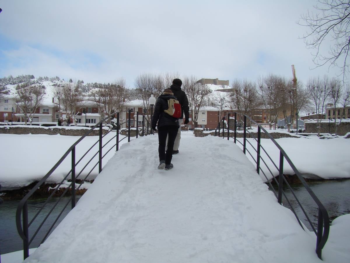 Jornada de nieve en Aguilar de Campoo (Palencia)