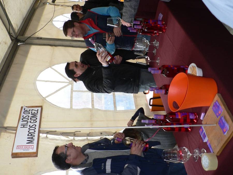 Fiesta del Primer Vino en Mucientes