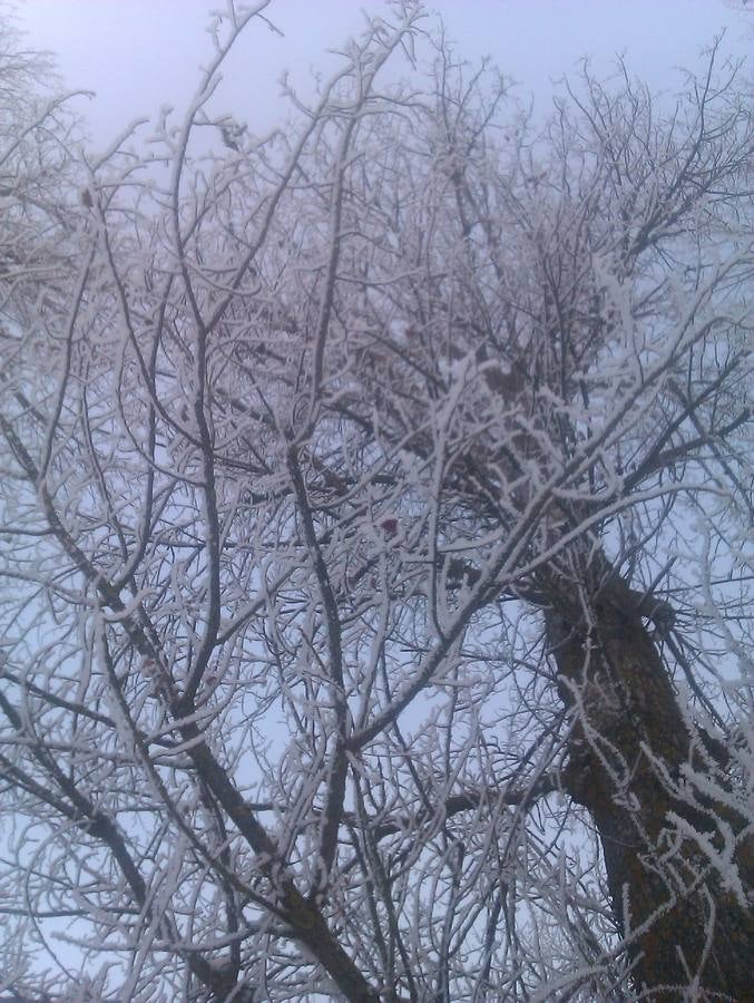 La nieve todavía protagoniza la vida en Aguilar de Campoo (Palencia)