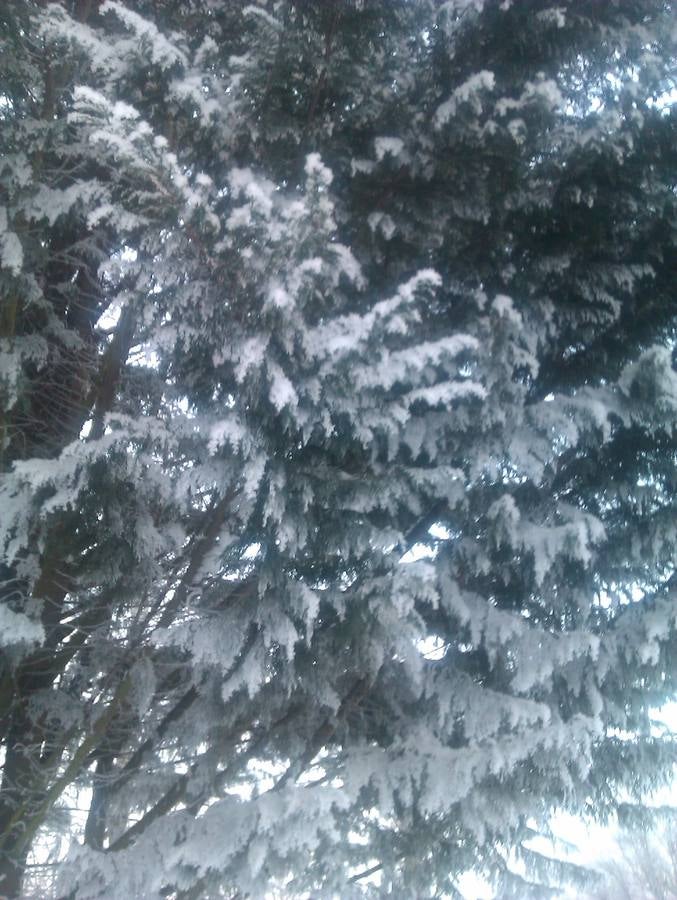 La nieve todavía protagoniza la vida en Aguilar de Campoo (Palencia)