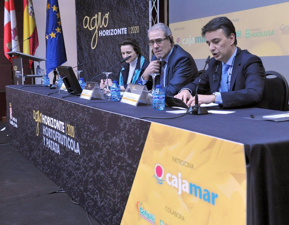 Jornada dedicada a la patata, la fruta y la hortaliza en el marco de Agrohorizonte 2020