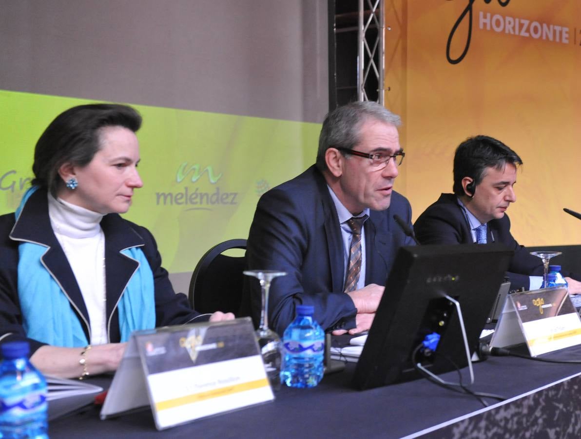 Jornada dedicada a la patata, la fruta y la hortaliza en el marco de Agrohorizonte 2020