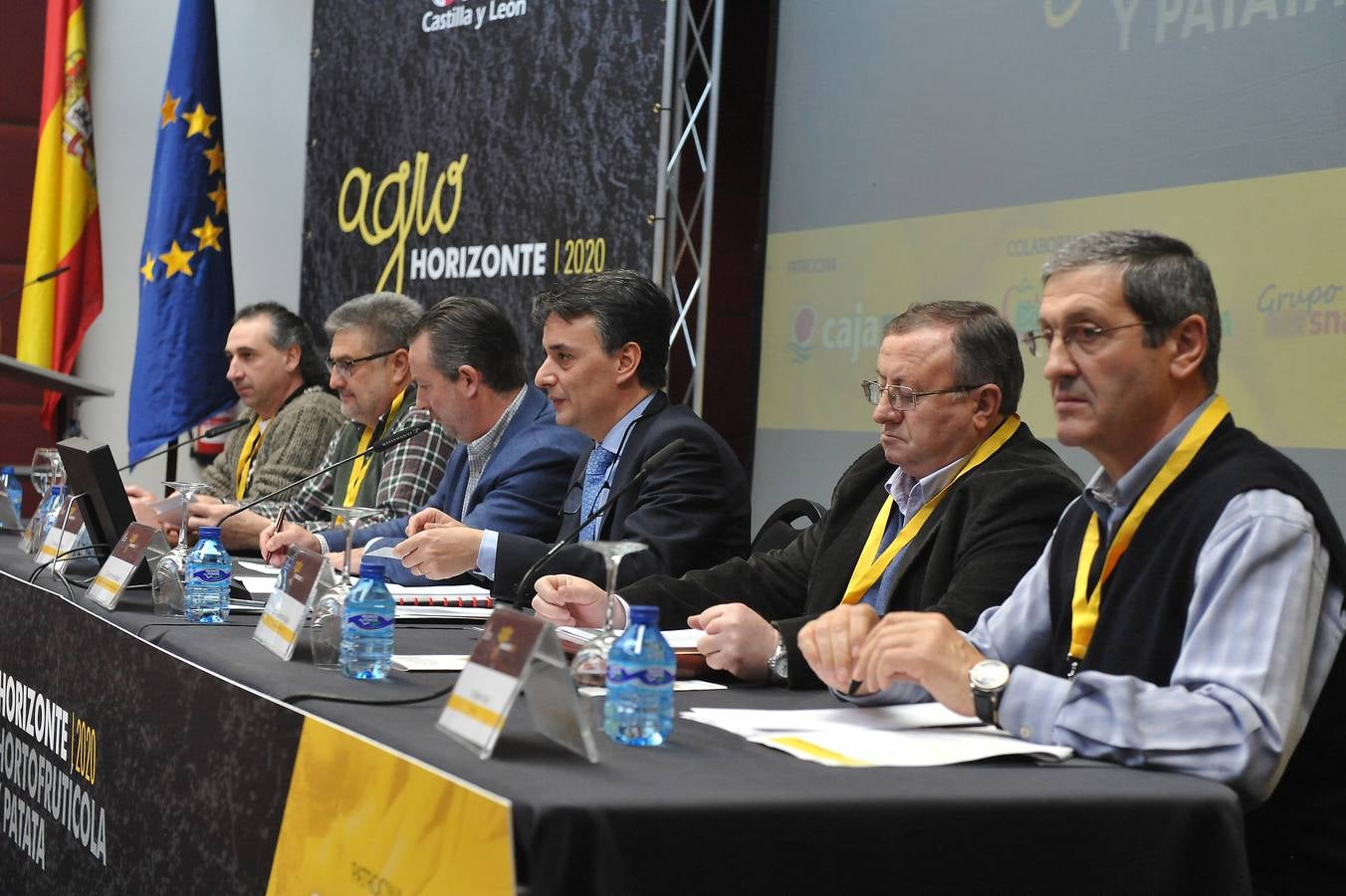 Jornada dedicada a la patata, la fruta y la hortaliza en el marco de Agrohorizonte 2020