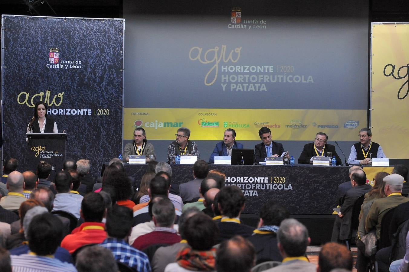 Jornada dedicada a la patata, la fruta y la hortaliza en el marco de Agrohorizonte 2020