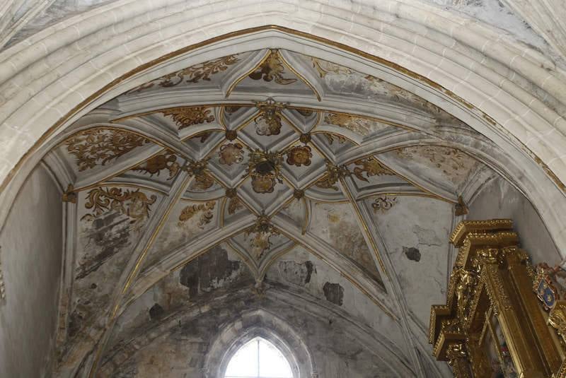 Visitas turísticas a la Catedral de Palencia