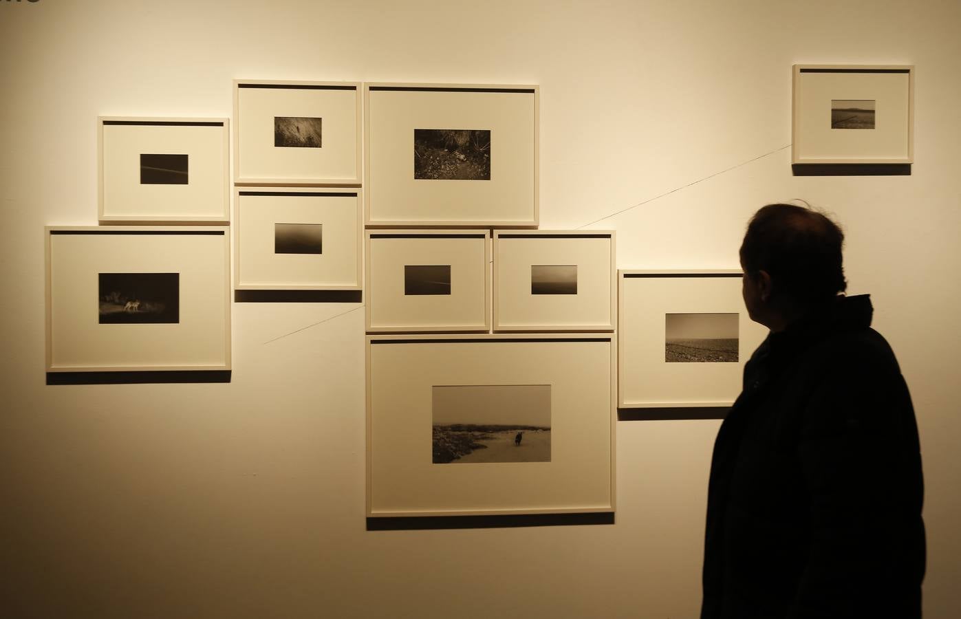 Exposición colectiva &#039;Creadores inquietos&#039; en la sala de Las Francesas de Valladolid