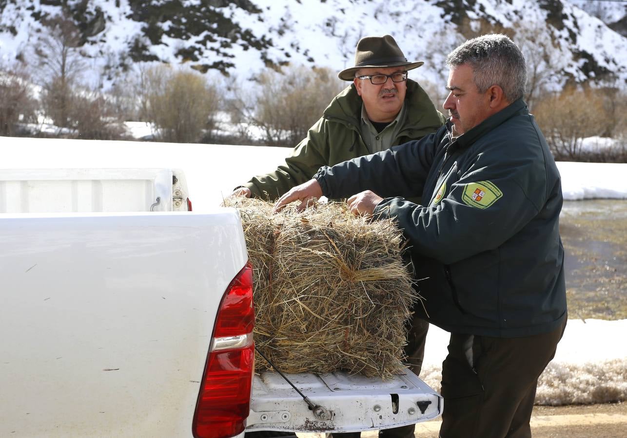 Reserva Regional de Caza de Riaño (León)