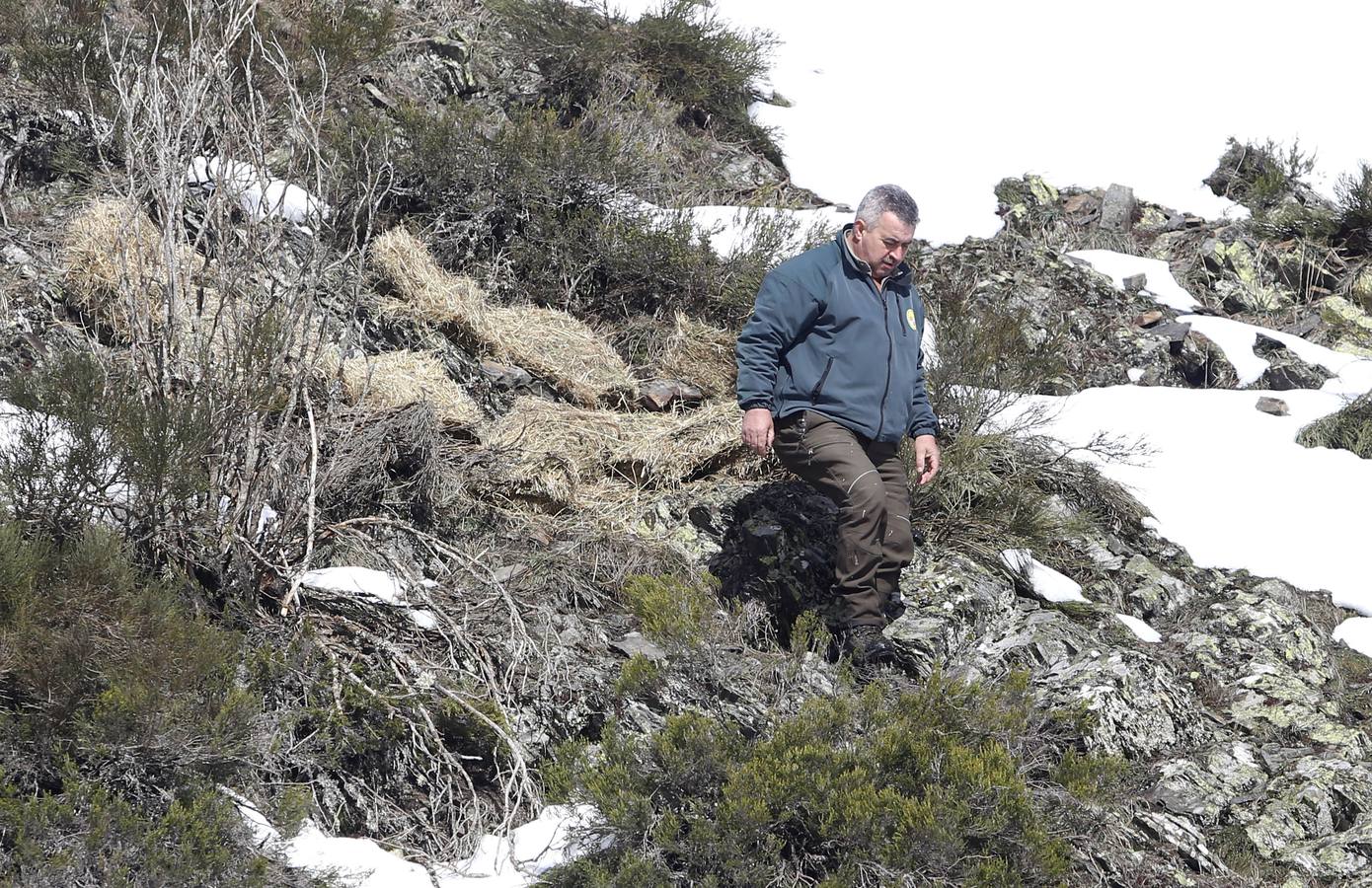 Reserva Regional de Caza de Riaño (León)