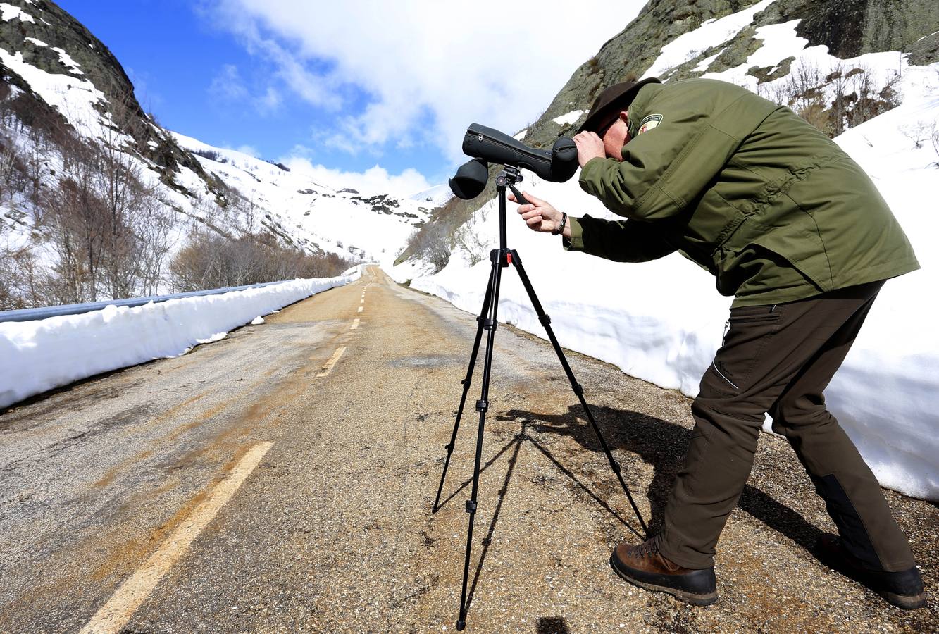 Reserva Regional de Caza de Riaño (León)